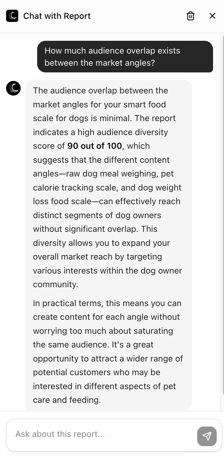 AI Chat — Audience Analysis